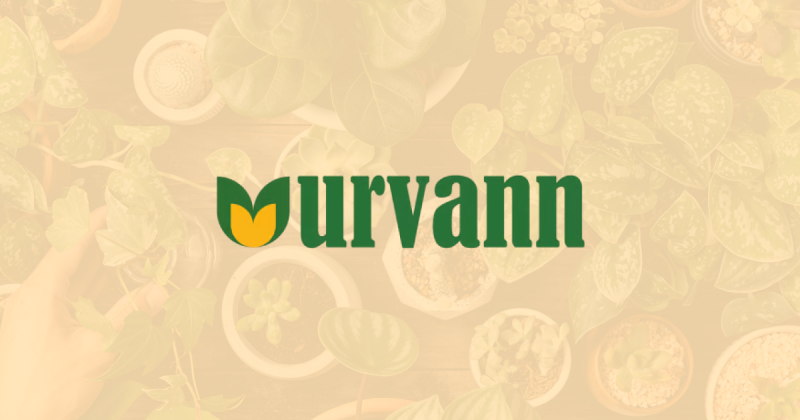 Urvann witnessed a massive surge in scale in FY23, expenses follow