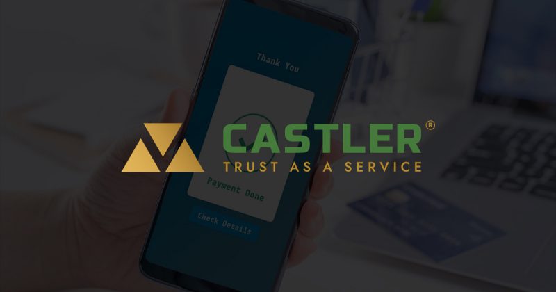 Castler posts 3X surge in topline in FY24, losses shrink