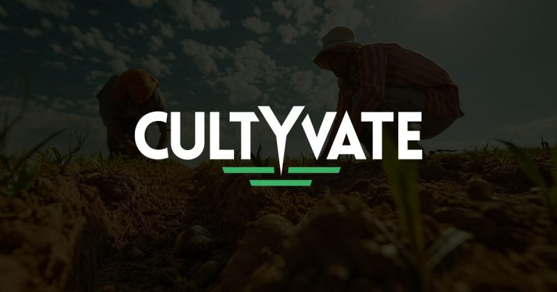 CultYvate records 2X hike in revenue in FY24, losses shrink