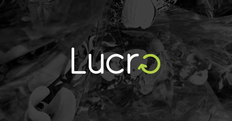 Lucro marks 56% revenue growth in FY24, profits surge